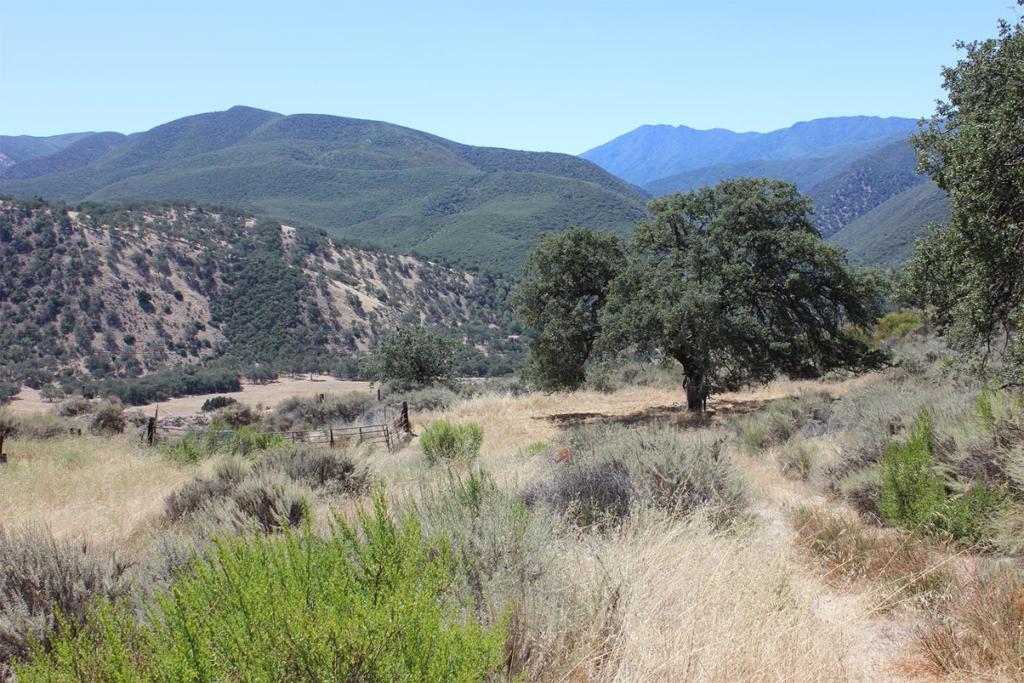 0 E Carmel Valley Road Property Photo 12