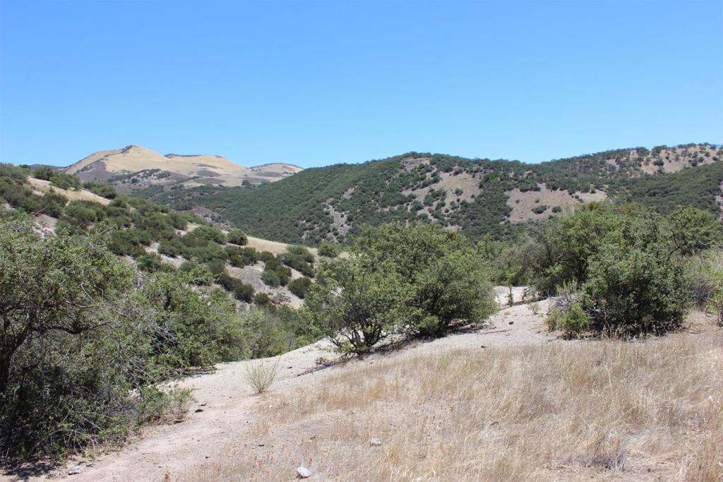 0 E Carmel Valley Road Property Photo 13