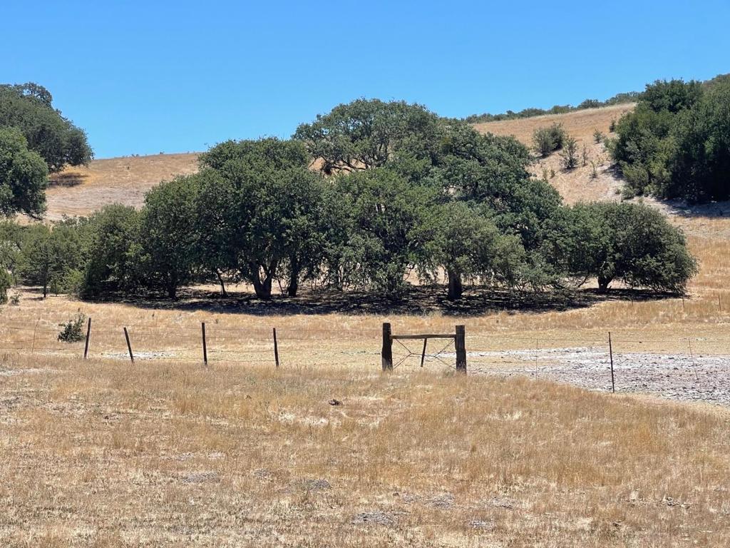 0 E Carmel Valley Road Property Photo 16