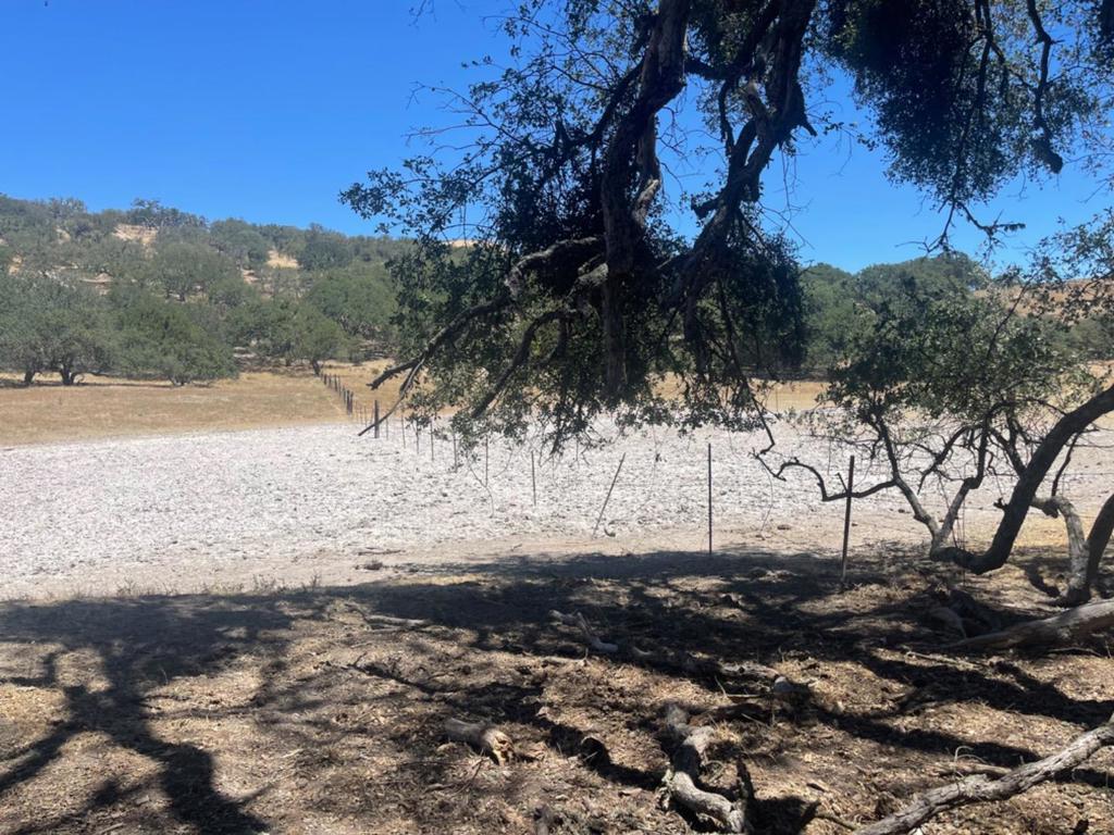 0 E Carmel Valley Road Property Photo 18
