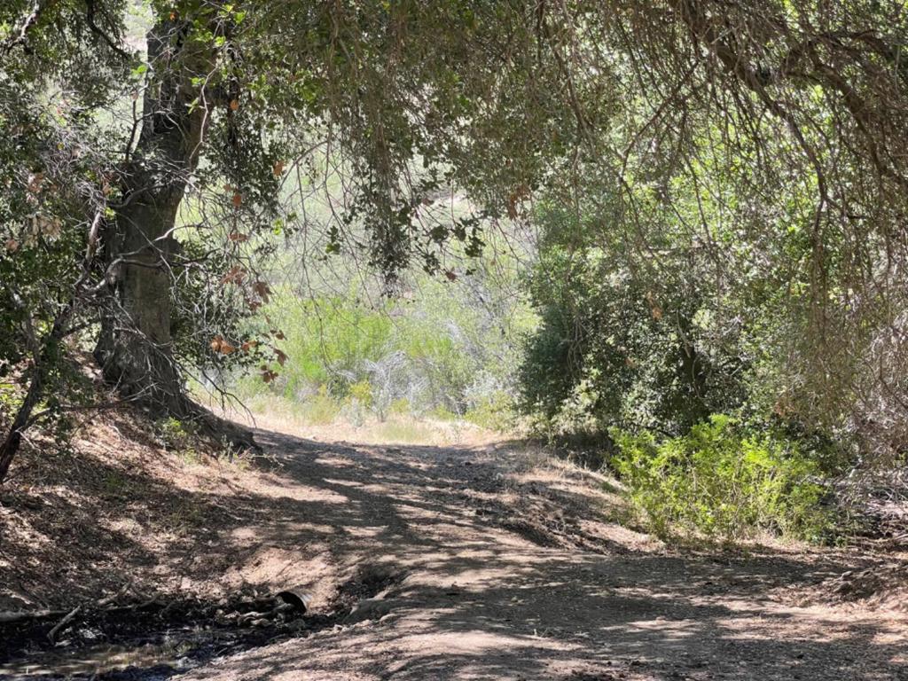 0 E Carmel Valley Road Property Photo 19