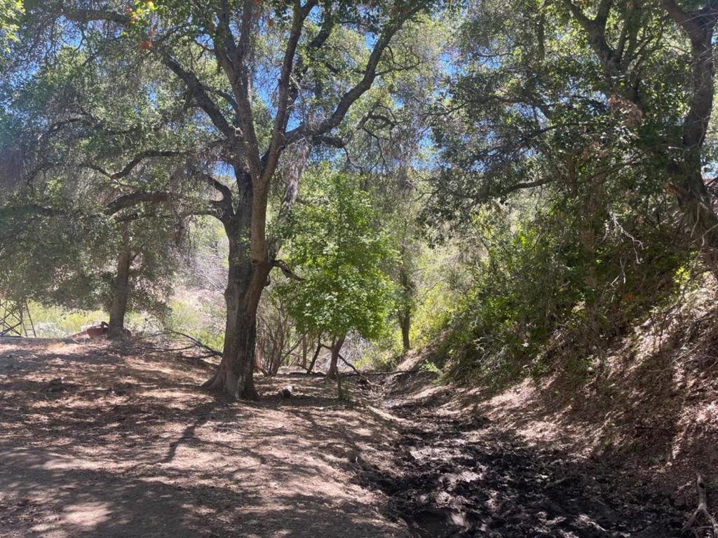 0 E Carmel Valley Road Property Photo 21