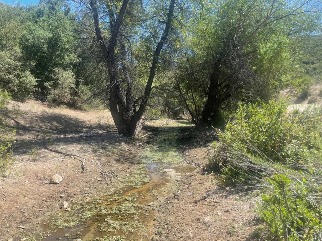 0 E Carmel Valley Road Property Photo 22