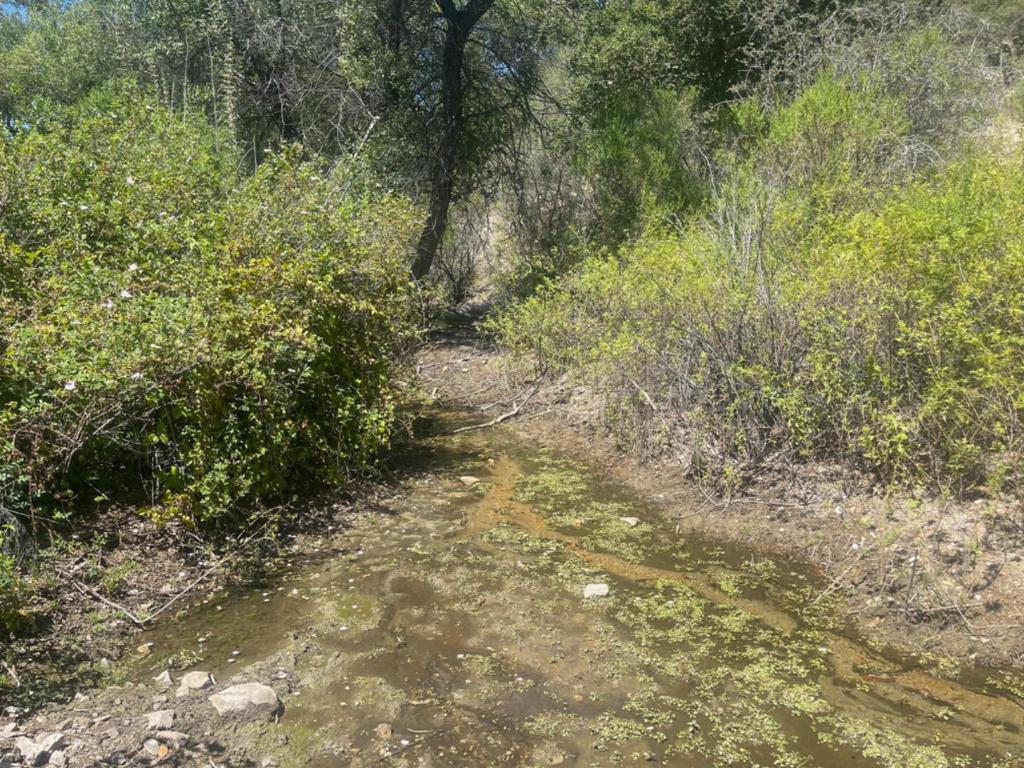 0 E Carmel Valley Road Property Photo 23