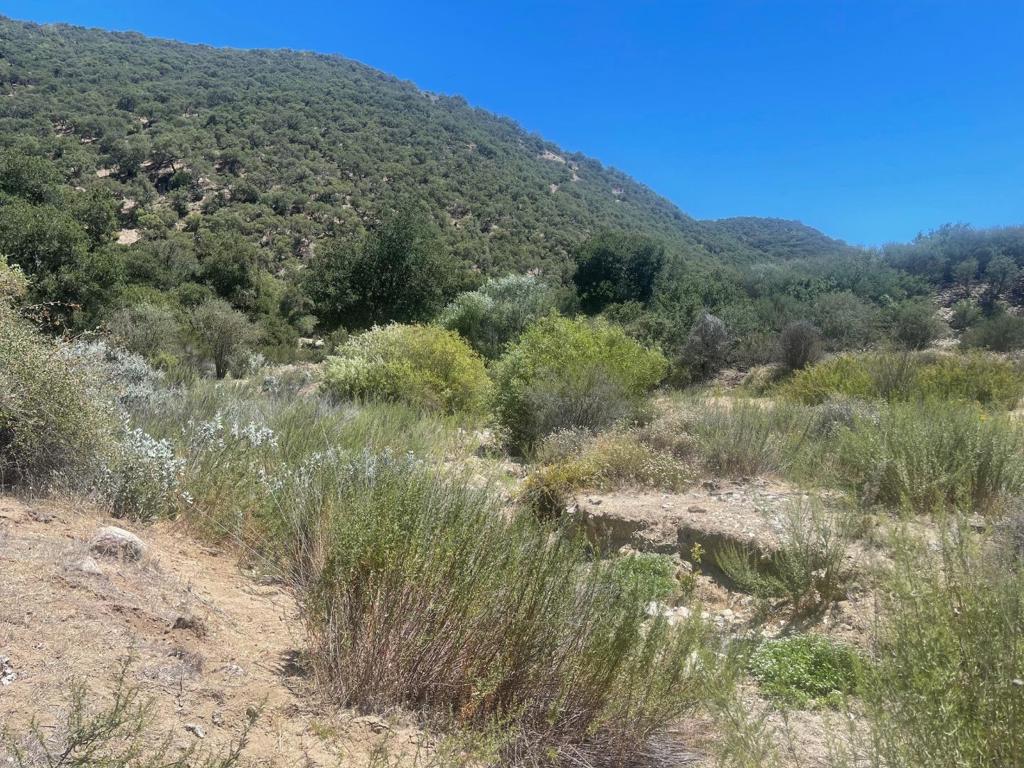 0 E Carmel Valley Road Property Photo 24