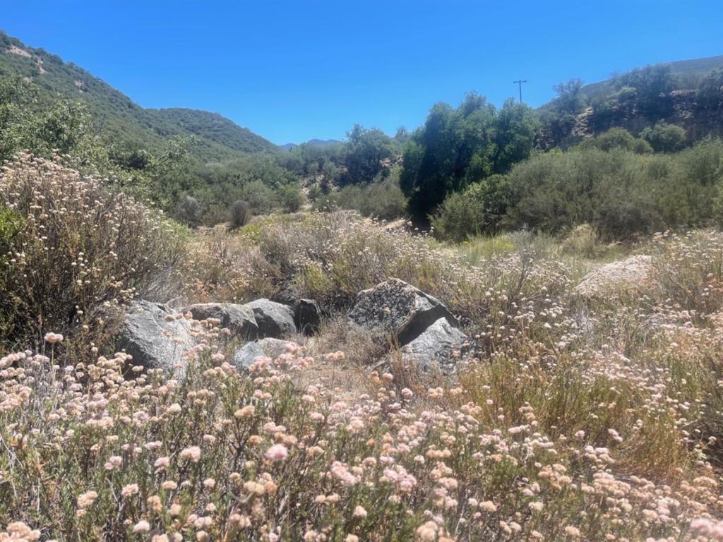 0 E Carmel Valley Road Property Photo 25