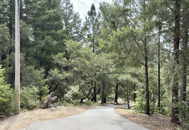1374 Weston Ridge Road Property Photo 4