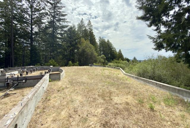 1374 Weston Ridge Road Property Photo 12