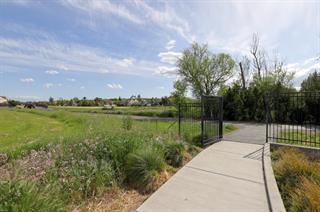 15640 Santorini Lane Property Photo 46