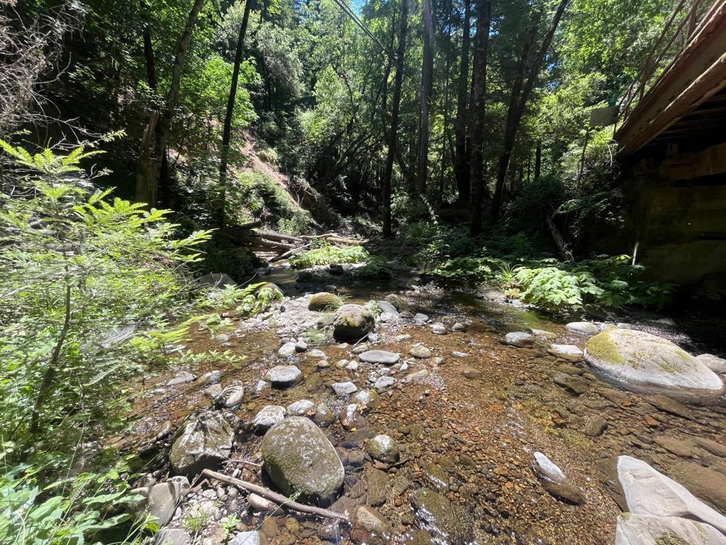 0 Deer Creek (lot 21) Road Property Photo 1