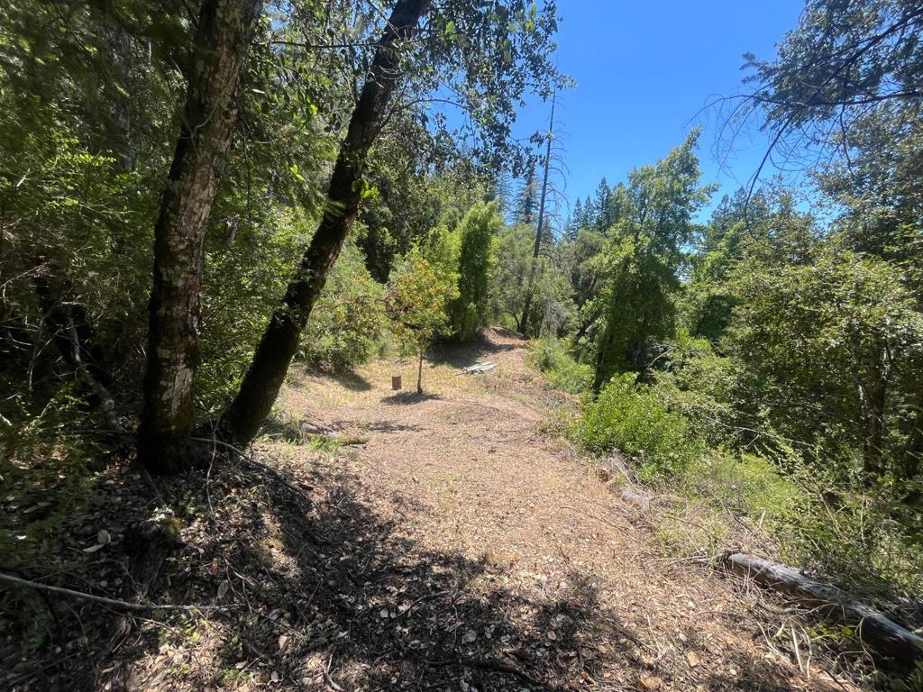 0 Deer Creek (lot 21) Road Property Photo 5