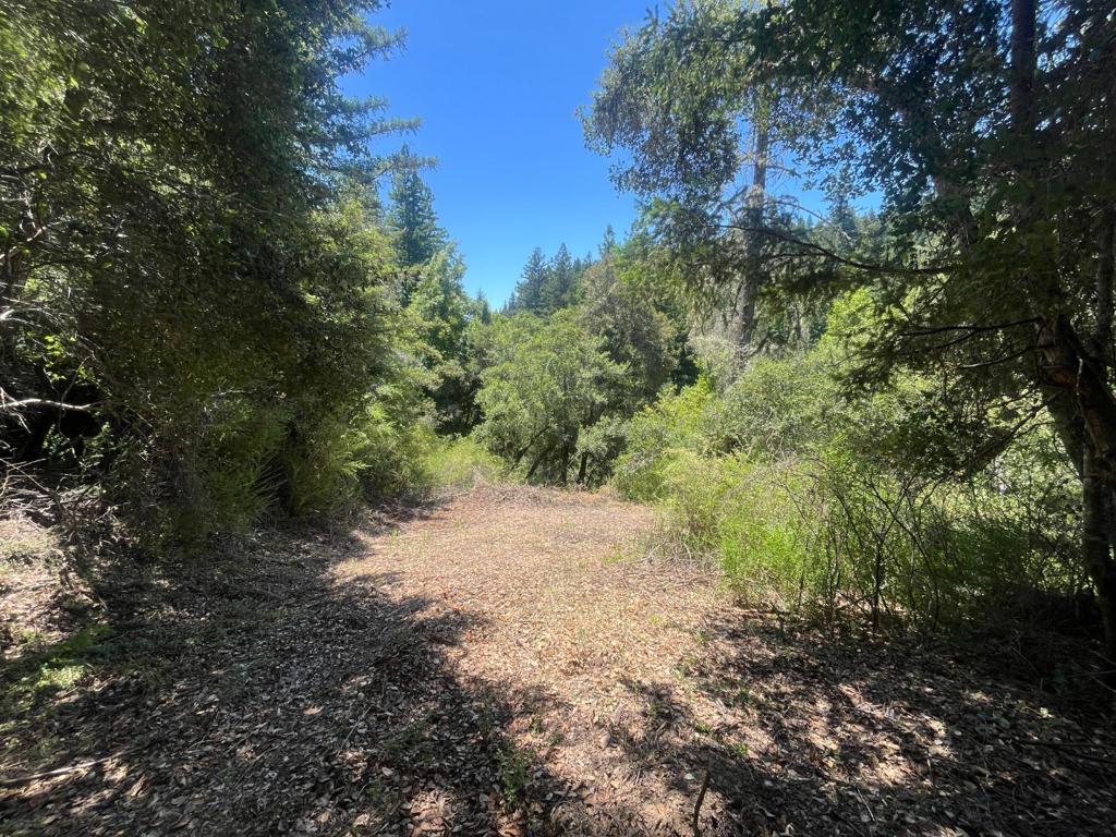 0 Deer Creek (lot 21) Road Property Photo 6