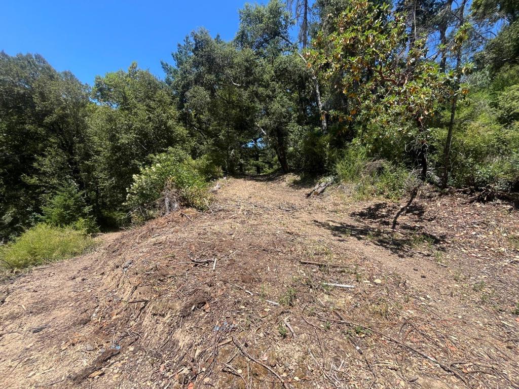 0 Deer Creek (lot 21) Road Property Photo 9