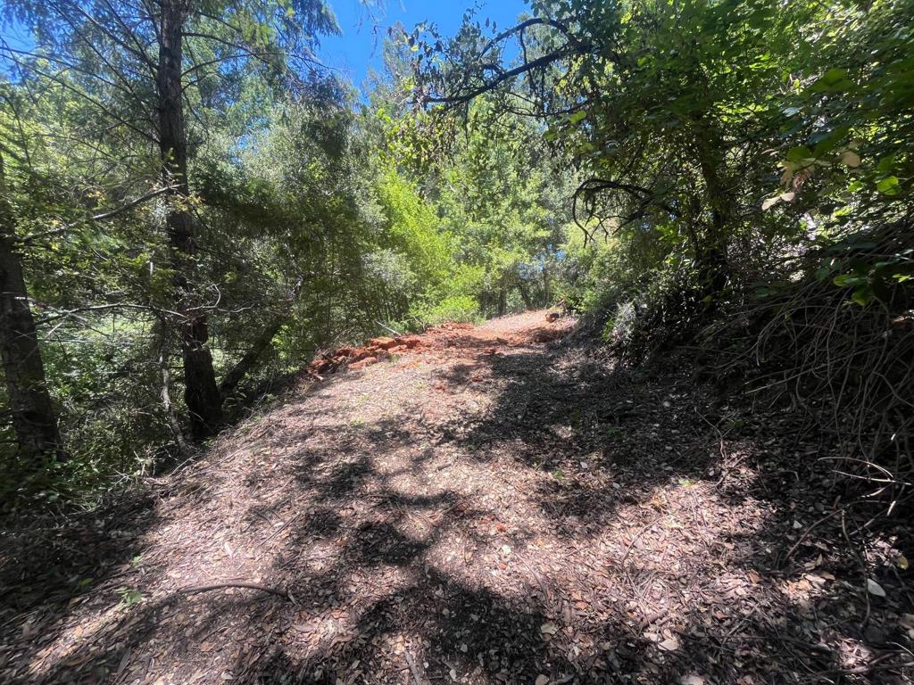 0 Deer Creek (lot 21) Road Property Photo 13