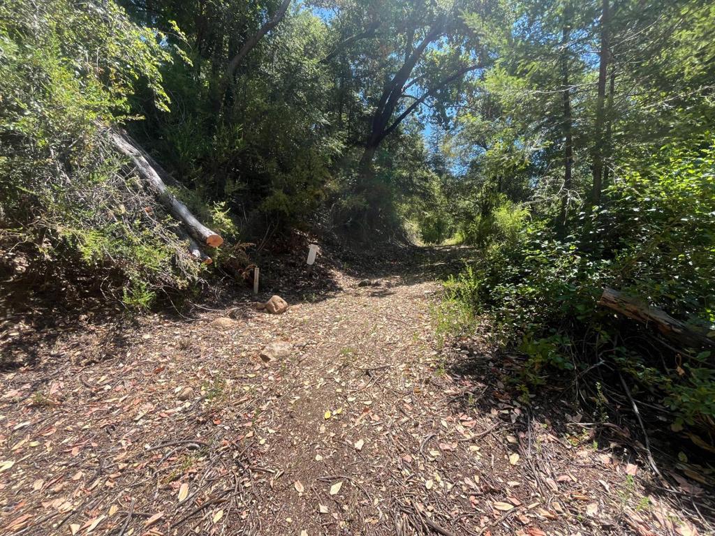 0 Deer Creek (lot 21) Road Property Photo 14