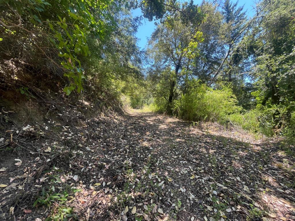 0 Deer Creek (lot 21) Road Property Photo 15