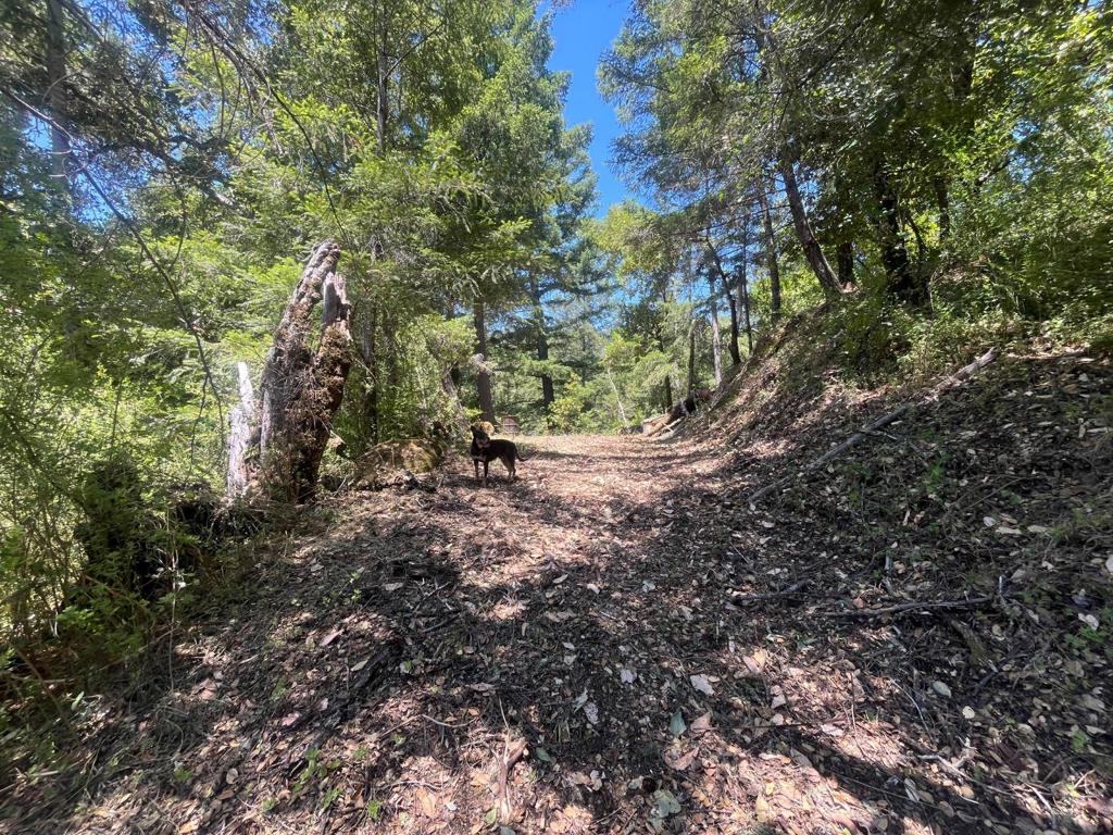 0 Deer Creek (lot 21) Road Property Photo 16