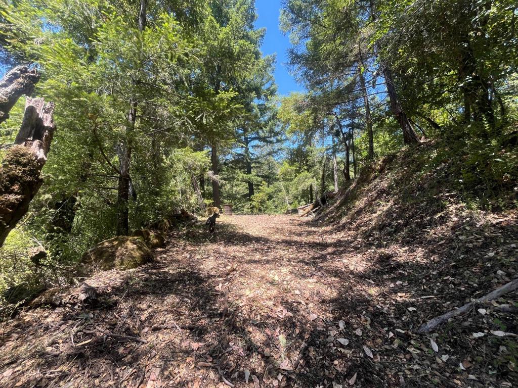 0 Deer Creek (lot 21) Road Property Photo 17