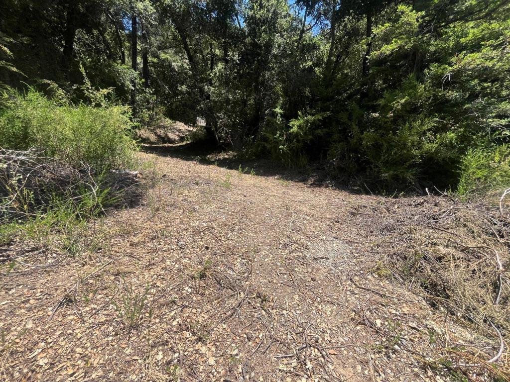 0 Deer Creek (lot 21) Road Property Photo 18