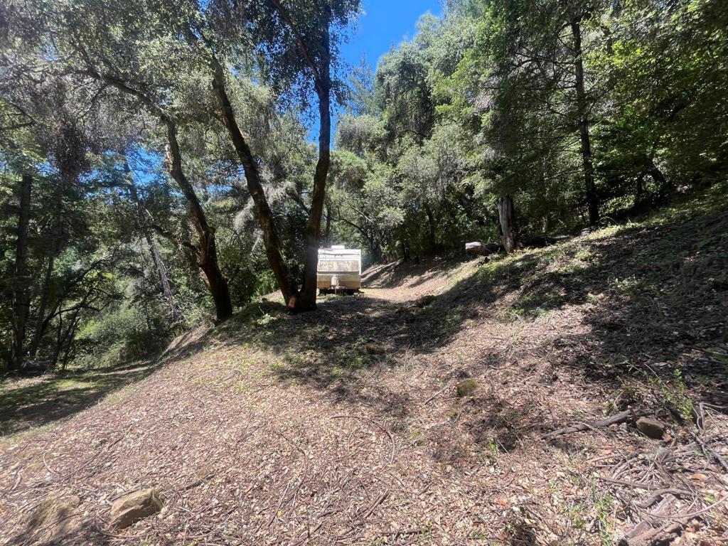 0 Deer Creek (lot 21) Road Property Photo 19