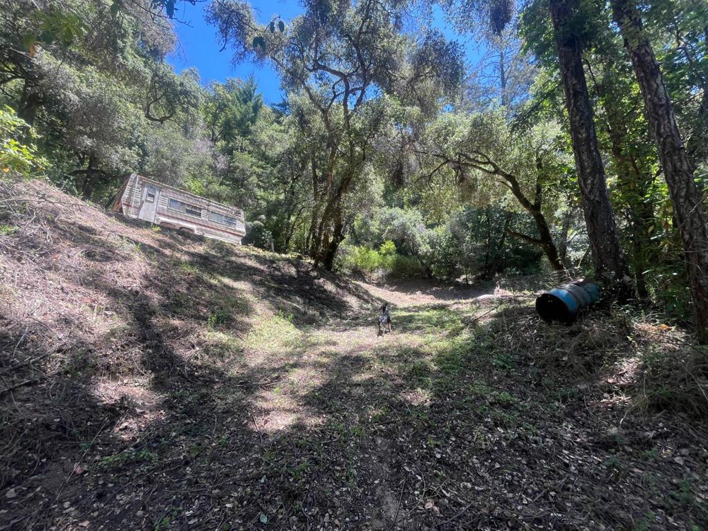 0 Deer Creek (lot 21) Road Property Photo 20