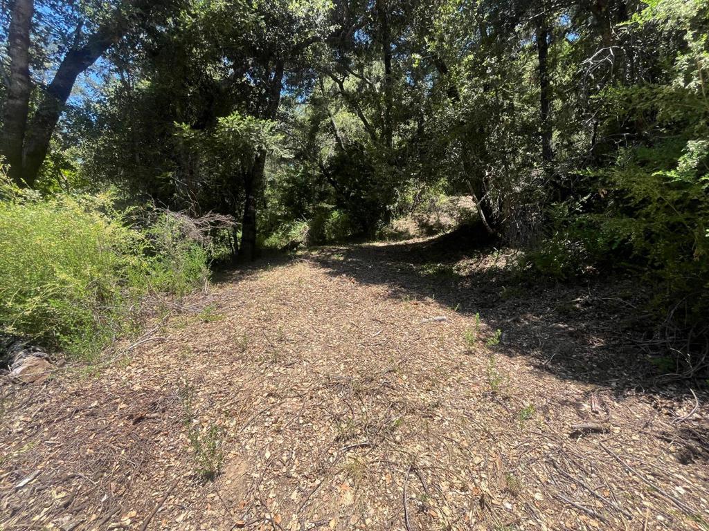 0 Deer Creek (lot 21) Road Property Photo 22