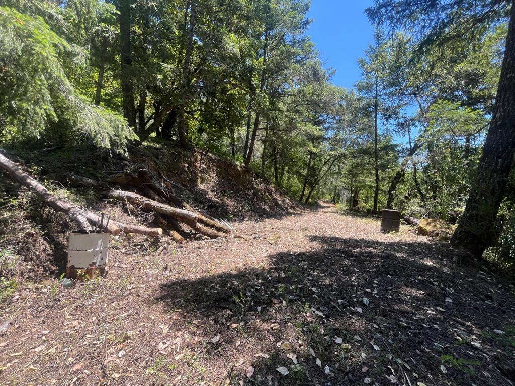 0 Deer Creek (lot 21) Road Property Photo 23