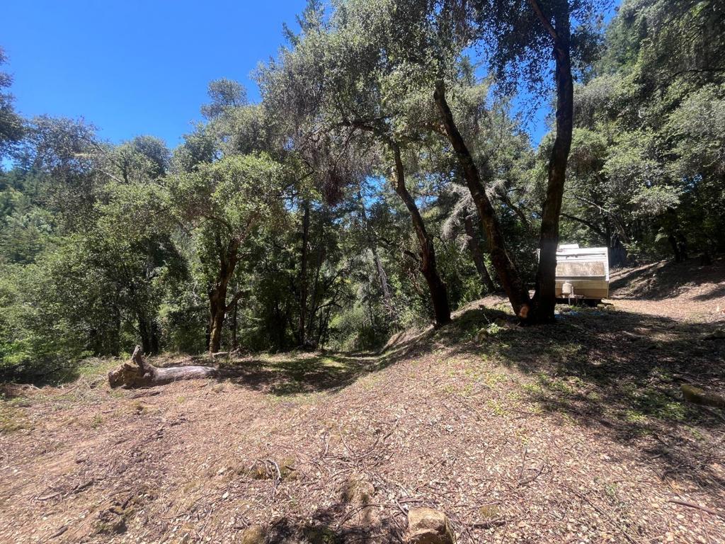 0 Deer Creek (lot 21) Road Property Photo 25