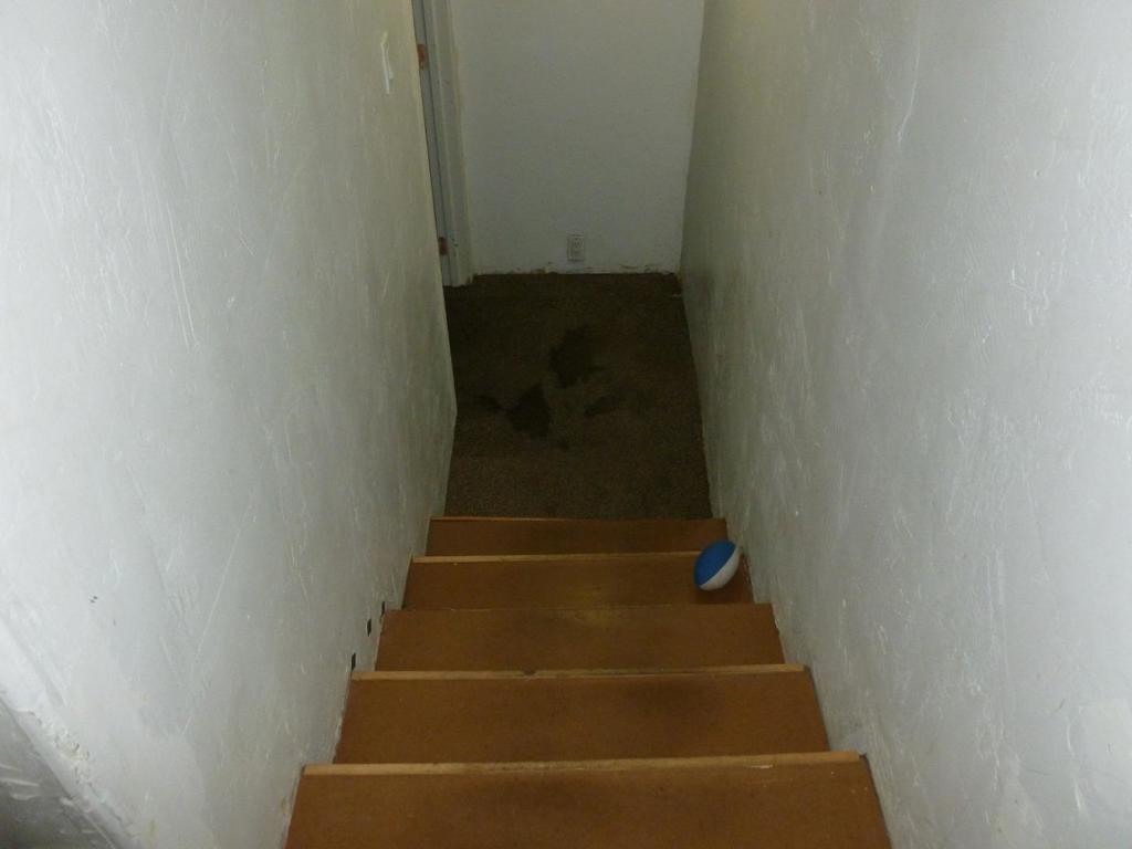 220 N 17th Street Property Photo 52
