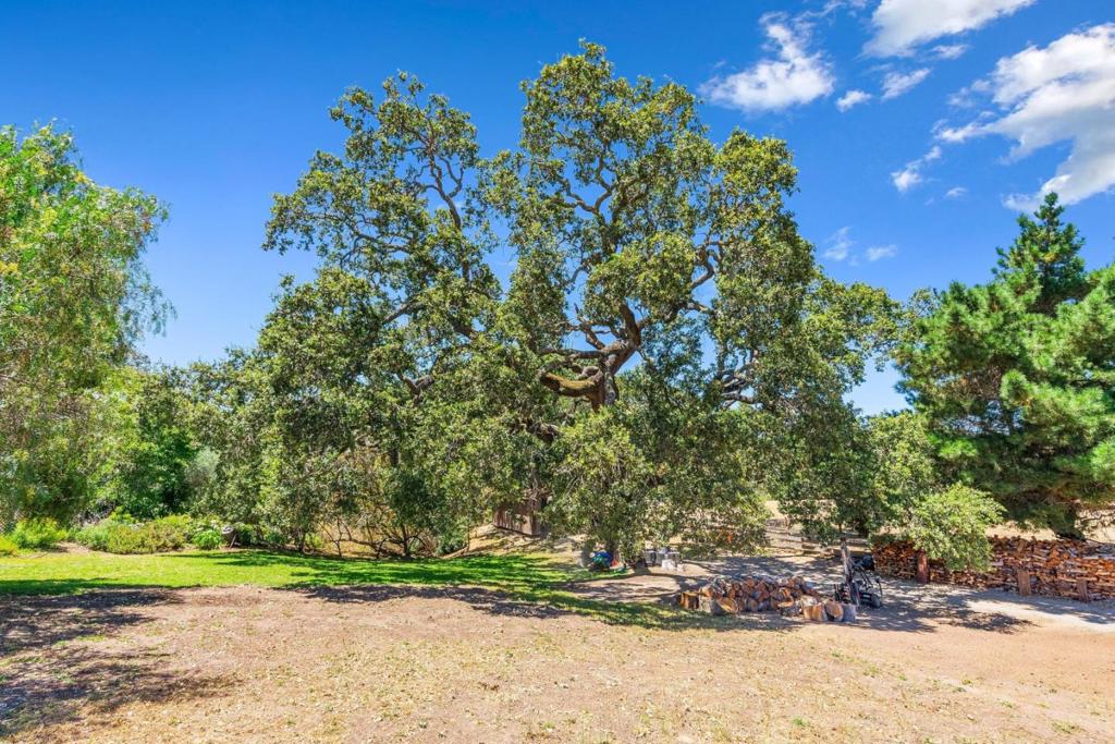 264 W Carmel Valley Road Property Photo 6