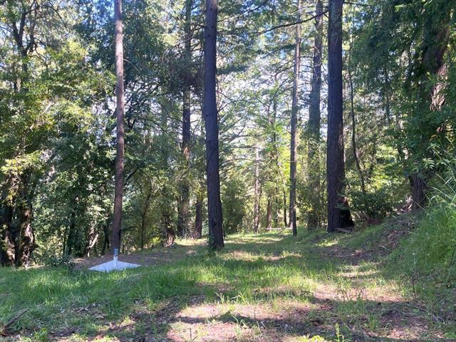 19179 Skyline Boulevard Property Photo 1