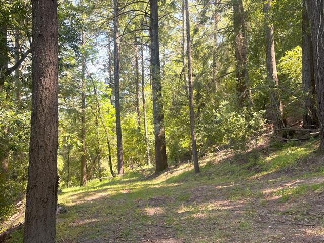 19179 Skyline Boulevard Property Photo 2
