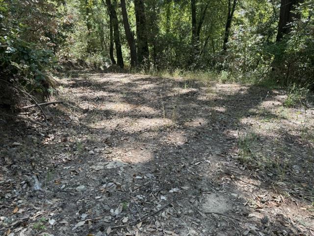 19179 Skyline Boulevard Property Photo 3