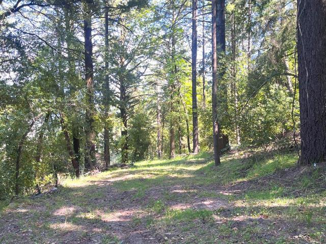 19179 Skyline Boulevard Property Photo 4