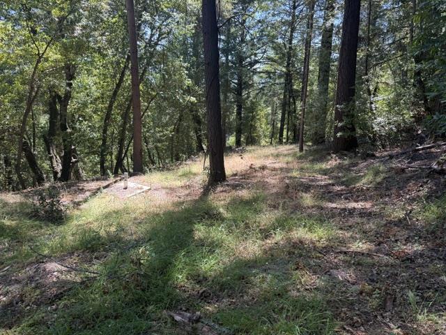 19179 Skyline Boulevard Property Photo 8
