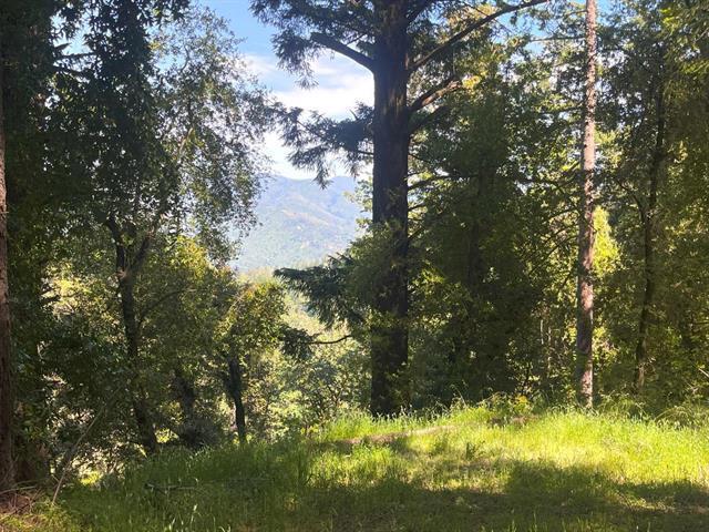 19179 Skyline Boulevard Property Photo 10