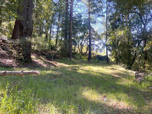 19179 Skyline Boulevard Property Photo 11
