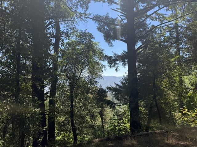 19179 Skyline Boulevard Property Photo 12