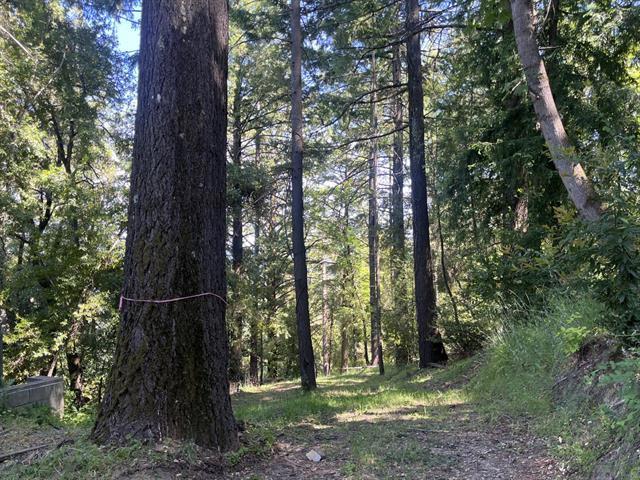 19179 Skyline Boulevard Property Photo 14