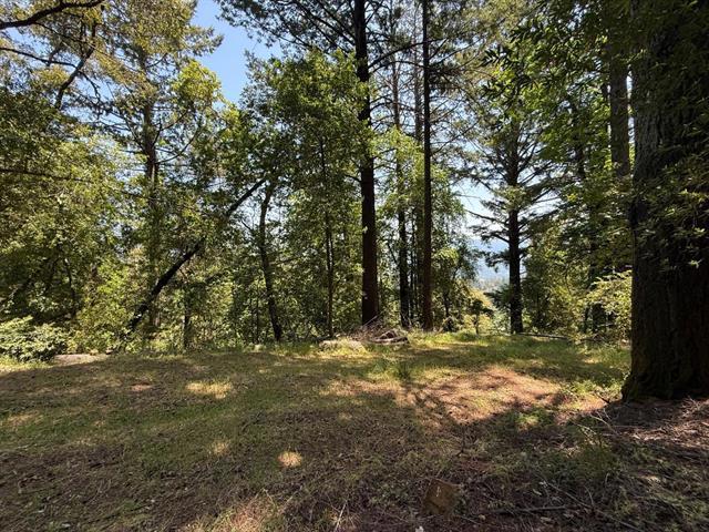 19179 Skyline Boulevard Property Photo 15