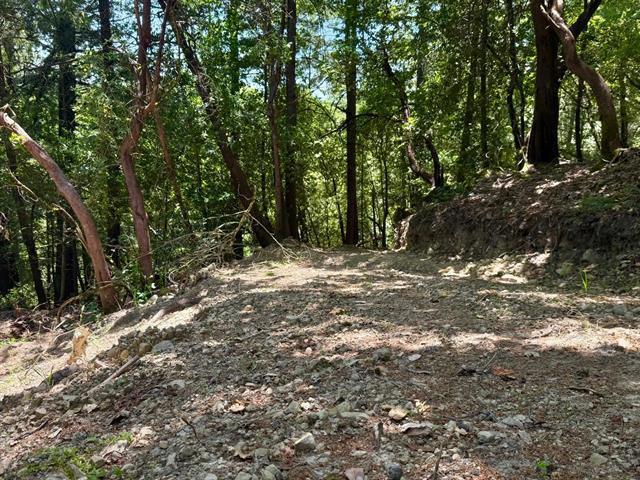 19179 Skyline Boulevard Property Photo 16