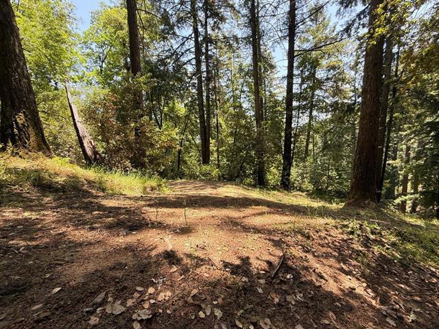 19179 Skyline Boulevard Property Photo 17