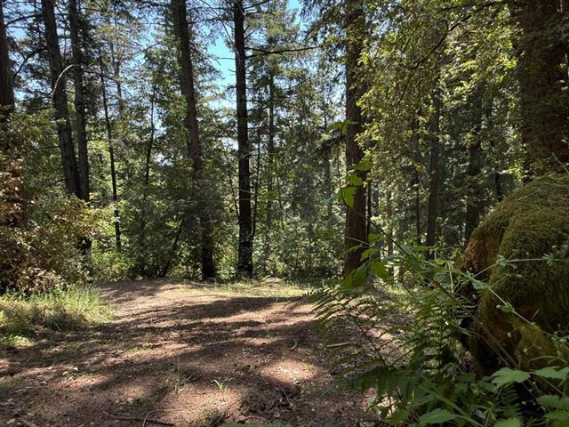 19179 Skyline Boulevard Property Photo 18