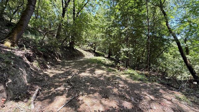 19179 Skyline Boulevard Property Photo 19