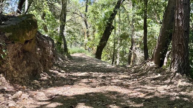 19179 Skyline Boulevard Property Photo 21