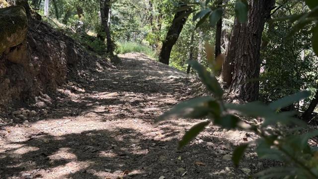 19179 Skyline Boulevard Property Photo 22