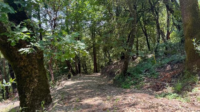 19179 Skyline Boulevard Property Photo 23