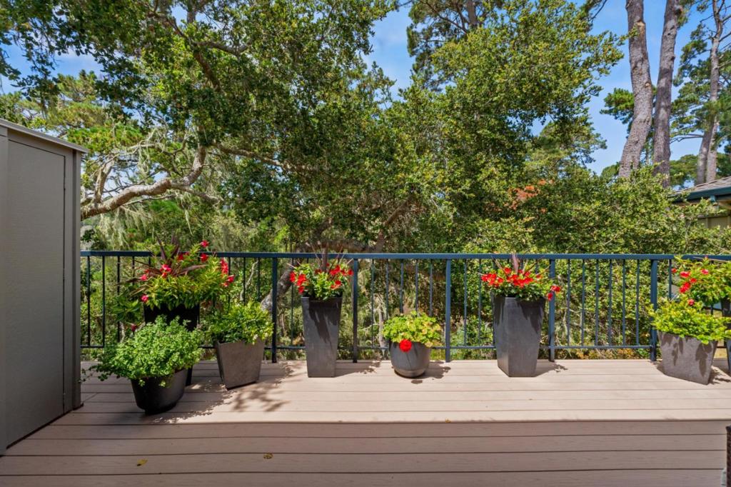 20 Del Mesa Carmel Property Photo 6