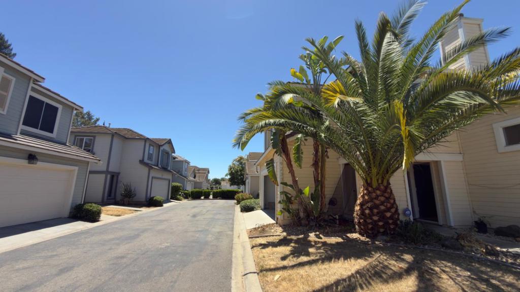 9233 Laguna Pointe Property Photo 2