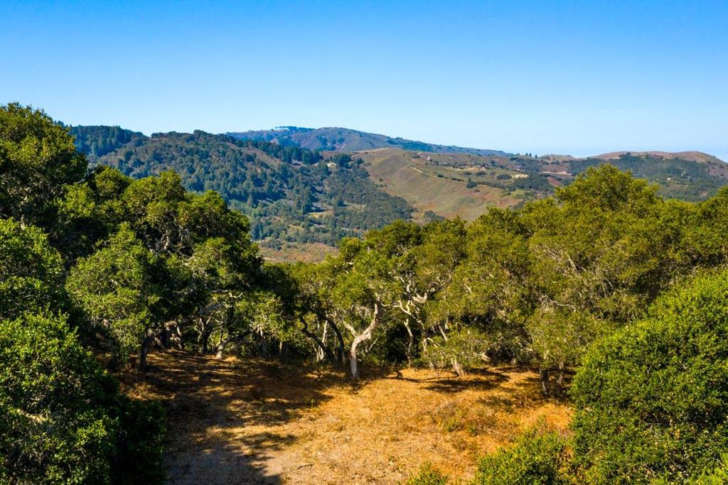 2 Corral Run Property Photo 2